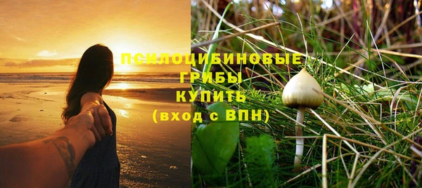мет Белокуриха