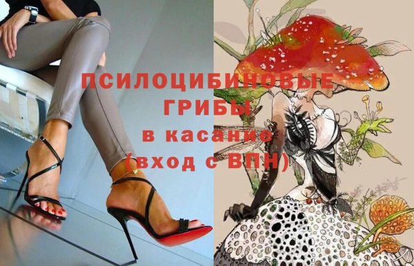 тгк Беломорск