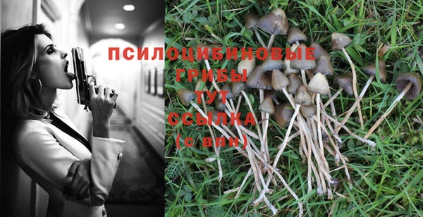 тгк Беломорск