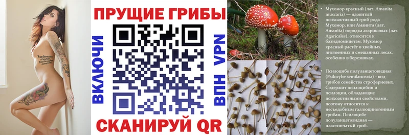 Псилоцибиновые грибы Magic Shrooms  Пестово 